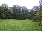 A park fái.