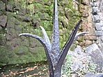 Tüskeböki