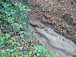 Patakmeder