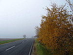 Novemberi országút