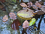 November