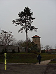 Torony