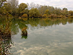 Holt- Tisza