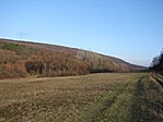 Őszi táj