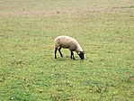 Birka