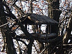 Madáretető
