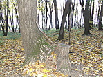 A rejtek