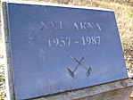 XXI. akna