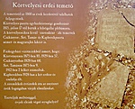 Körtvélyesi erdei temető