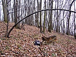 a rejtek