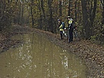 Pilisborosjenő felé a Kevély alatt