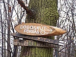 Irányjelző