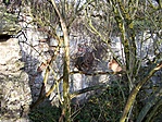 A beömlőcső