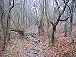Mederben