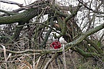 pocsolyás-logolás