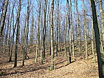 Hegyoldal a Napsütésben