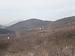 Visszapillantás