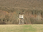 vadászles