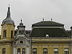 Sziesztázó galambsereg
