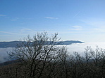 Panoráma