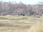 A szomszédok