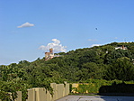 sok zöld