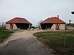Múzeumkert