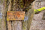 foglalás