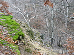 kilátás