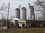 Fallikus szimbóleumok