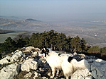 Kilátás NY