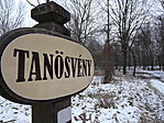 A közelben volt
