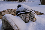 Szondi