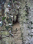 mikrocache