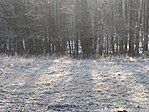 csillogás