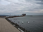 Téli Balaton