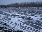 Zagyva télen