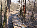 Csúszott