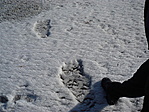 Előttünk járt a YETI!