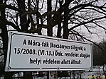 Véd.erdő