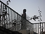 GÜL Baba