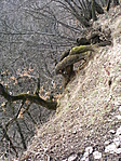 Szakadék