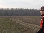 őzek