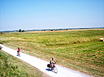 Földút a Nemzeti Park szakaszán