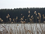 kontraszt