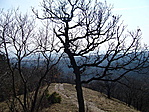 Gerincen
