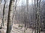 Völgyben