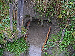 forrás