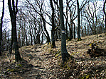 A sárga jelzésen