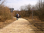5.